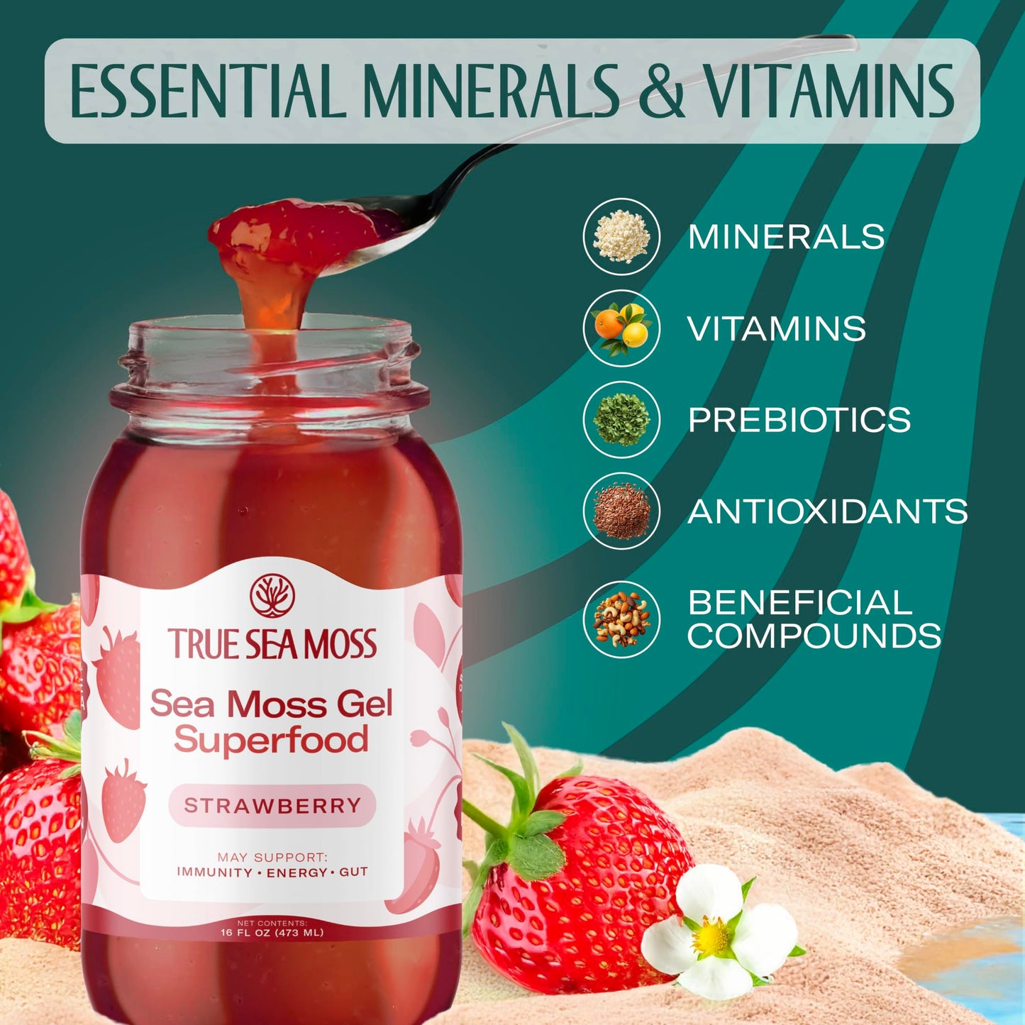 TrueSeaMoss Sea Moss Gel - Made in USA - Wildcrafted Seamoss  Fresh Fruits & Jarred Vegetables - Strawberry  Pack of 2 (Labels may Vary)