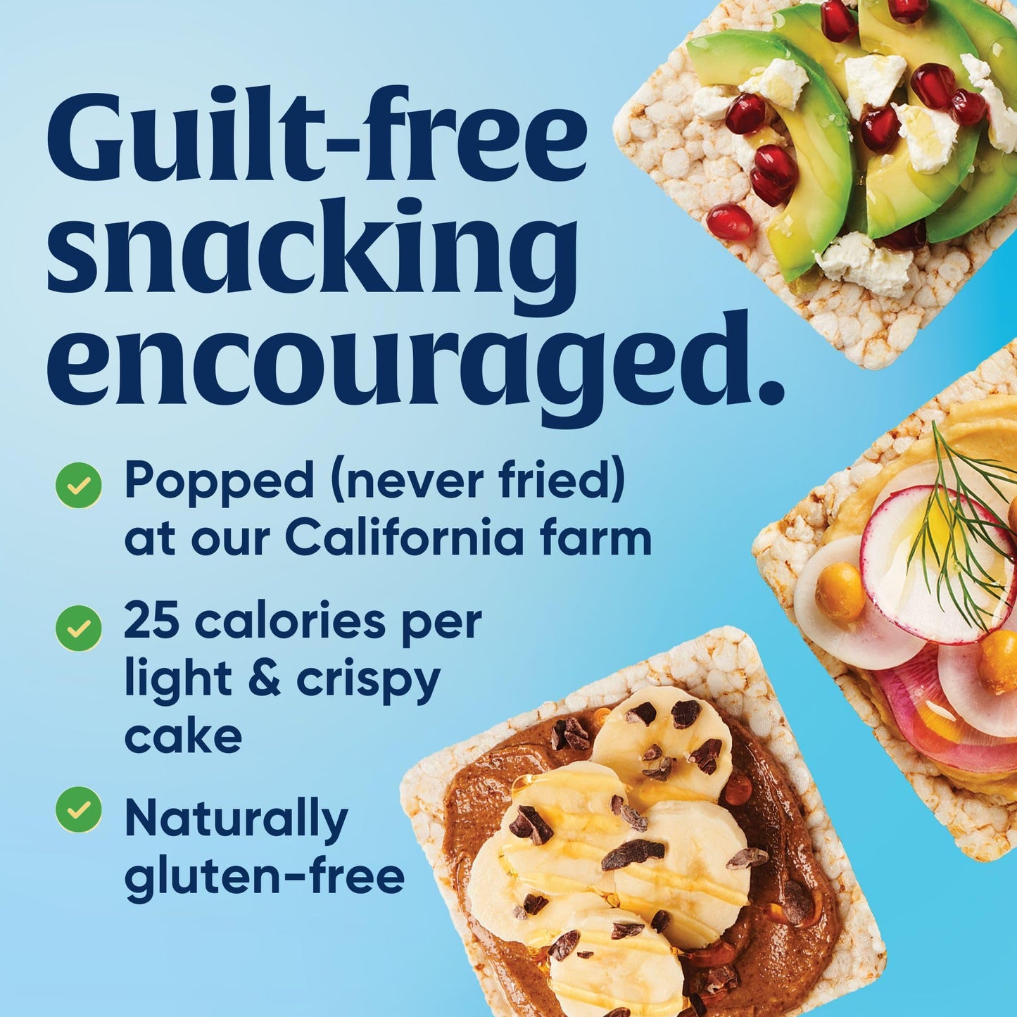 Lundberg Thin Brown Rice Cakes  Lightly Salted  6-Pack - Regenerative Organic Certified  Healthy Snacks  Vegan  6 Oz Ea