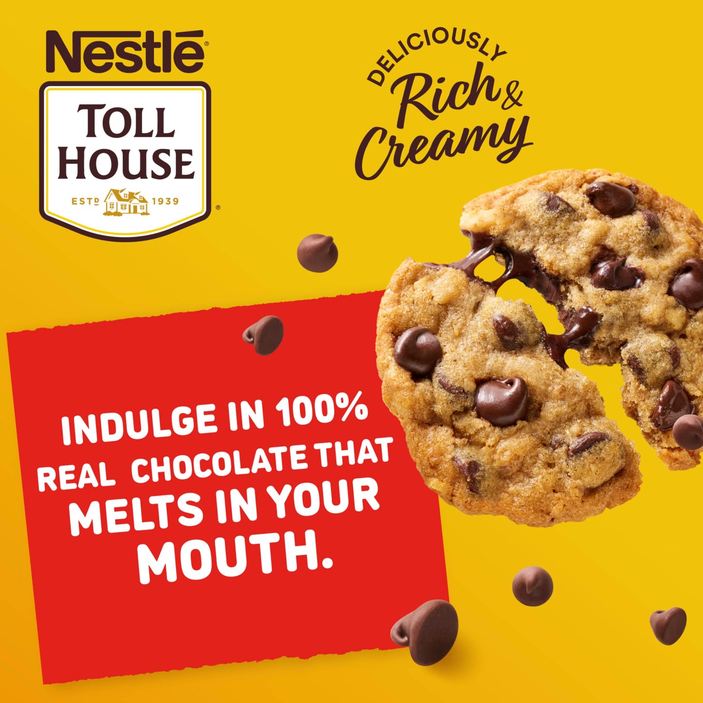 Nestle Toll House Semi Sweet Chocolate Chips, 24 Oz