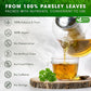 FRESHDRINKUS Parsley Leaf Tea Bags, 100% Natural Herbal Tea, 135 Bags, Vegan, No Sugar, No Caffeine, Gluten-Free