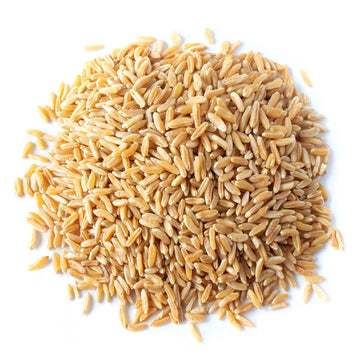 Food To Live Organic Kamut Khorasan Wheat Berries, 25 Pounds - 100% Whole Grain, Sproutable For Wheatgrass, Non-Gmo, Kosher, Bul