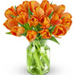 Benchmark Bouquets - 20 Stem Orange Tulips (Glass Vase Included) - Fresh Flowers for Delivery - Gift for Graduation, Birthday, A