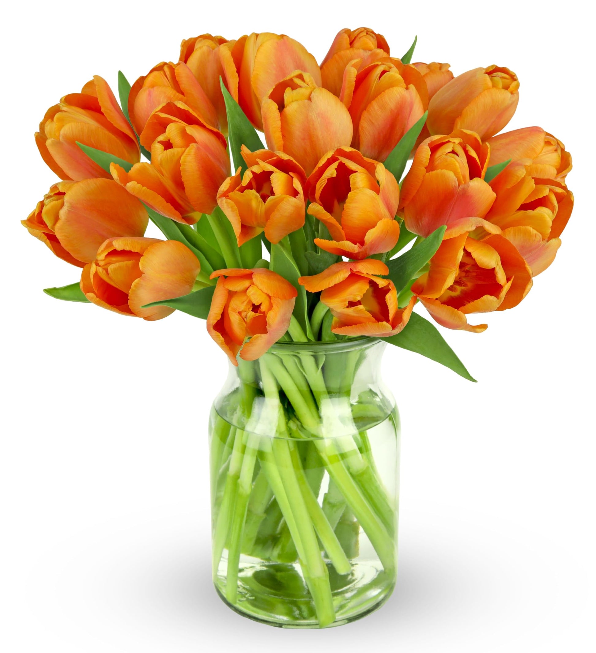 Benchmark Bouquets - 20 Stem Orange Tulips (Glass Vase Included) - Fresh Flowers for Delivery - Gift for Graduation, Birthday, A