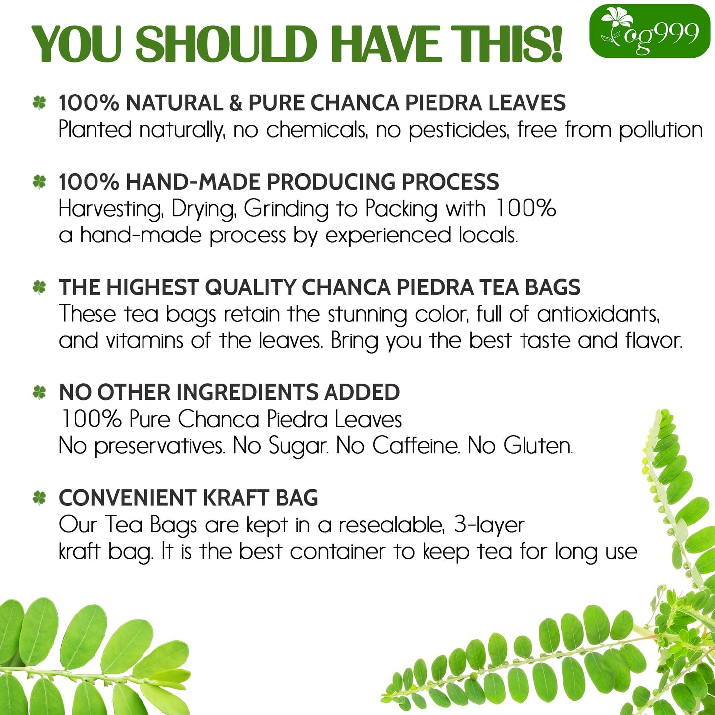 TOG999 Chanca Piedra Leaf Tea Bags, 100% Natural Herbal Tea, 120 Bags, Caffeine-Free, Vegan