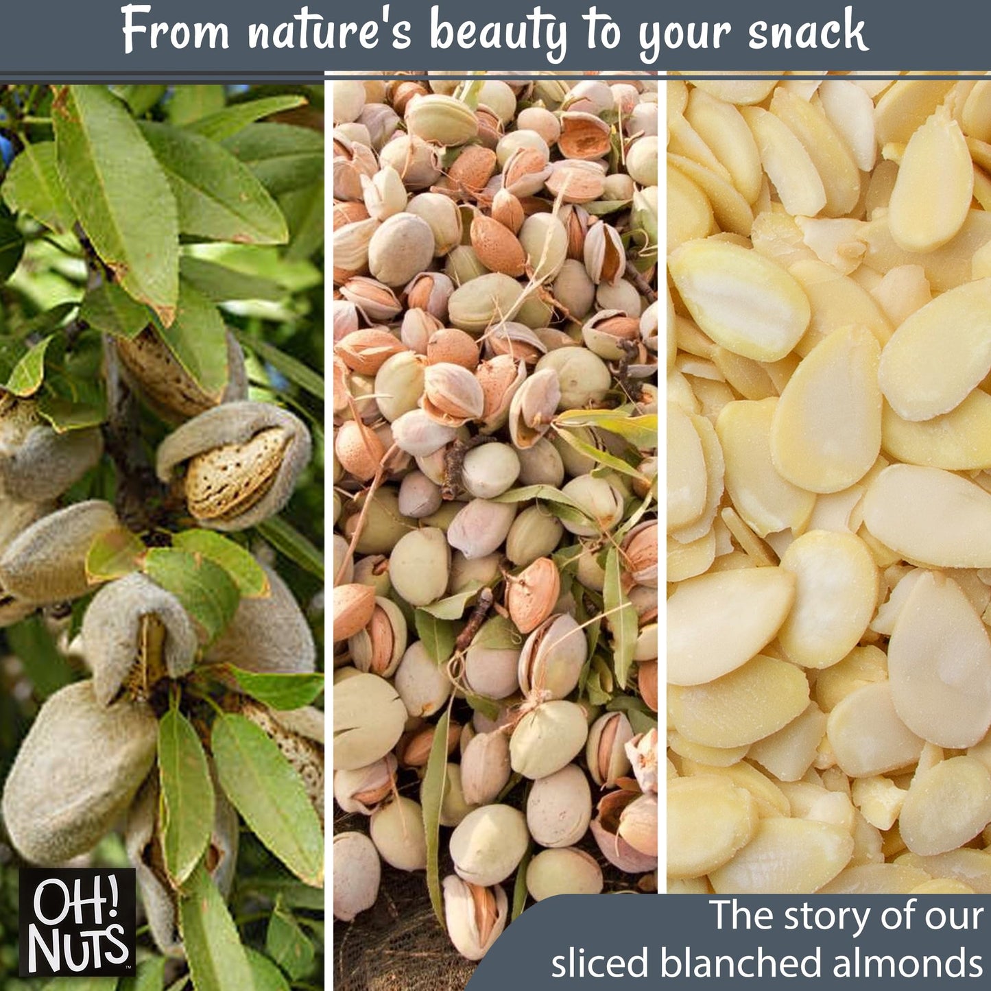 Almonds Blanched Sliced | Raw - 100% Natural | 1.5 Lb | High-Protein Almonds | Packed In New York Zip-Seal Bag For Exceptional Freshness By Oh Nuts