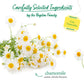 Bigelow Tea Cozy Chamomile Herbal Tea, Caffeine Free, 100 Count Box, Model SPAUSD14419