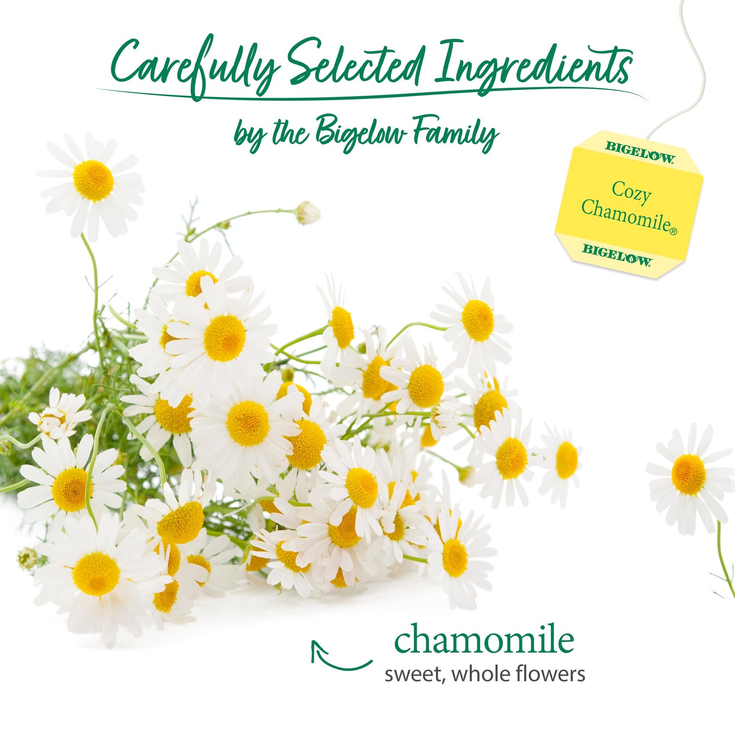 Bigelow Tea Cozy Chamomile Herbal Tea, Caffeine Free, 100 Count Box, Model SPAUSD14419