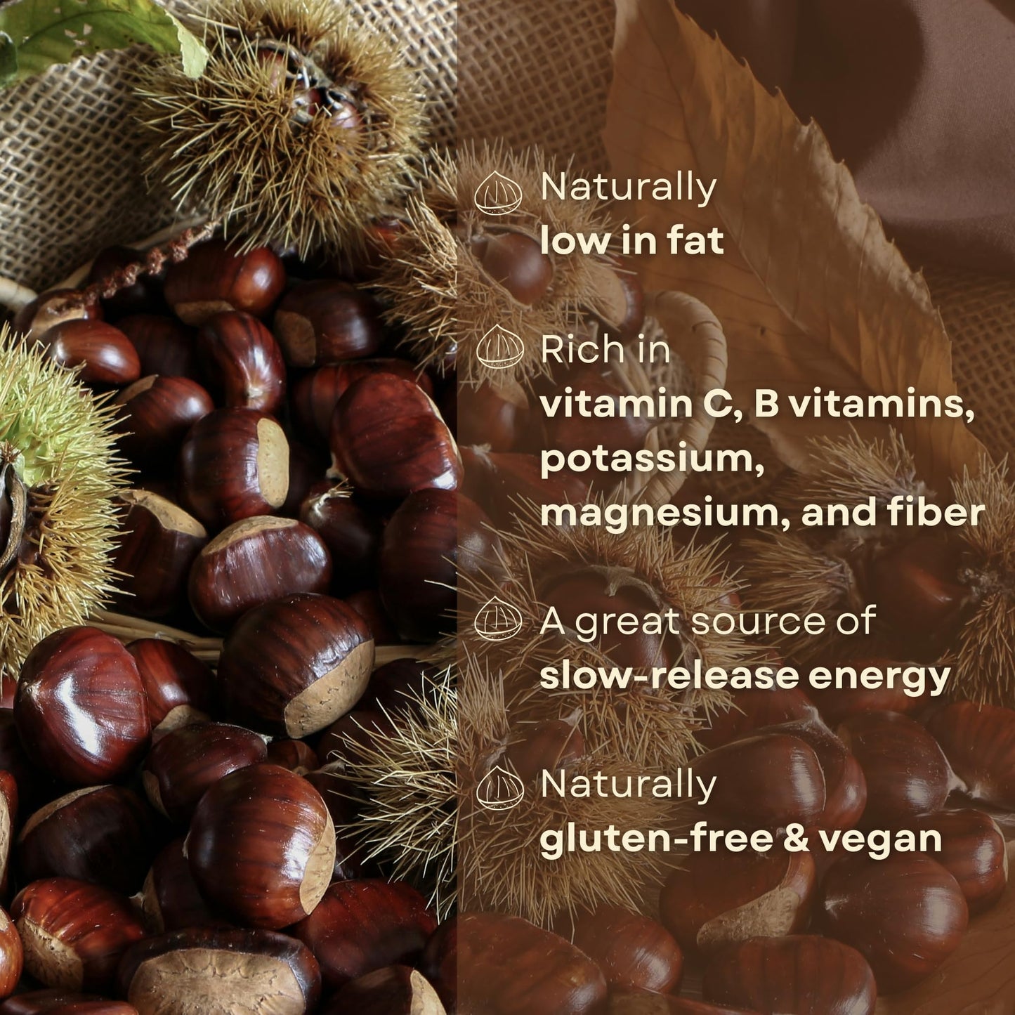 enhanced Italian Chestnuts - Fresh  Large Size  Easy to Peel  Hand-Picked  Farm Fresh  All Natural  Gluten-Free & Vegan Snack  Gluten-Free Snack (2 LBS)