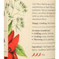 New York Shuk Fiery Harissa enhanced Spice Blend
