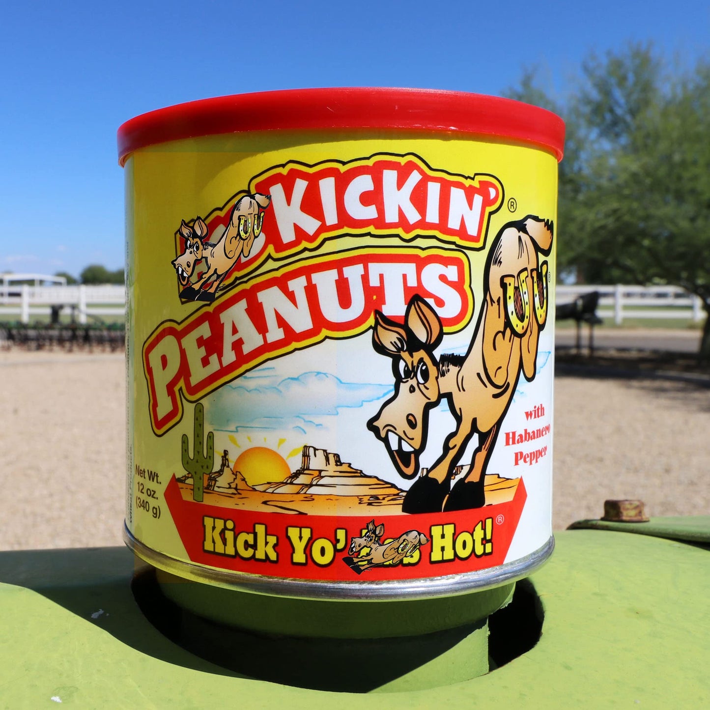 ASS KICKIN Habanero Pepper Hot Peanuts - Spicy Snack - 12oz - Gourmet Gift