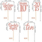 30Pcs Happy 10Th Birthday Cupcake Toppers Cheers To 10 Vintage 2015 Cupcake Picks Hello 10 Ten 10Th Birthday Decorations For 10T