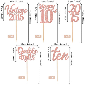 30Pcs Happy 10Th Birthday Cupcake Toppers Cheers To 10 Vintage 2015 Cupcake Picks Hello 10 Ten 10Th Birthday Decorations For 10T