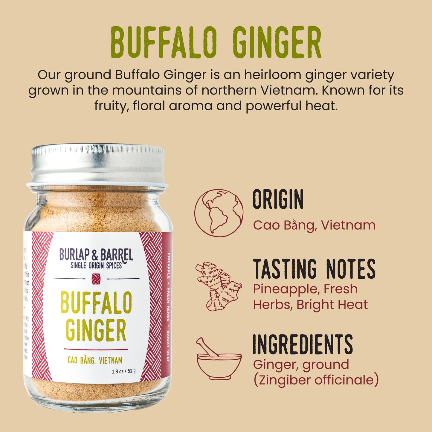 Burlap & Barrel Buffalo Ginger - Spicy, Fruity And Intense Heirloom Ginger Powder With A Bite - Add To Stir Fries, Soups, And Te