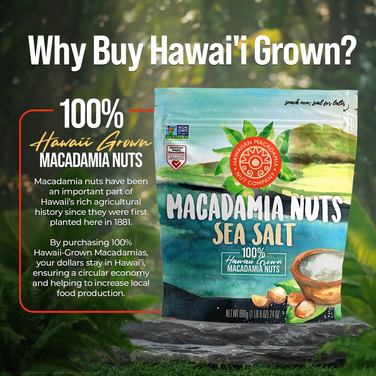 Hawaiian Macadamia Nut Company Dry Roasted Macadamia Nuts with Sea Salt 24 Oz  Source of Fiber  Gluten-Free and Certified Non-GMO  enhanced Quality  Crunchy and Delicious