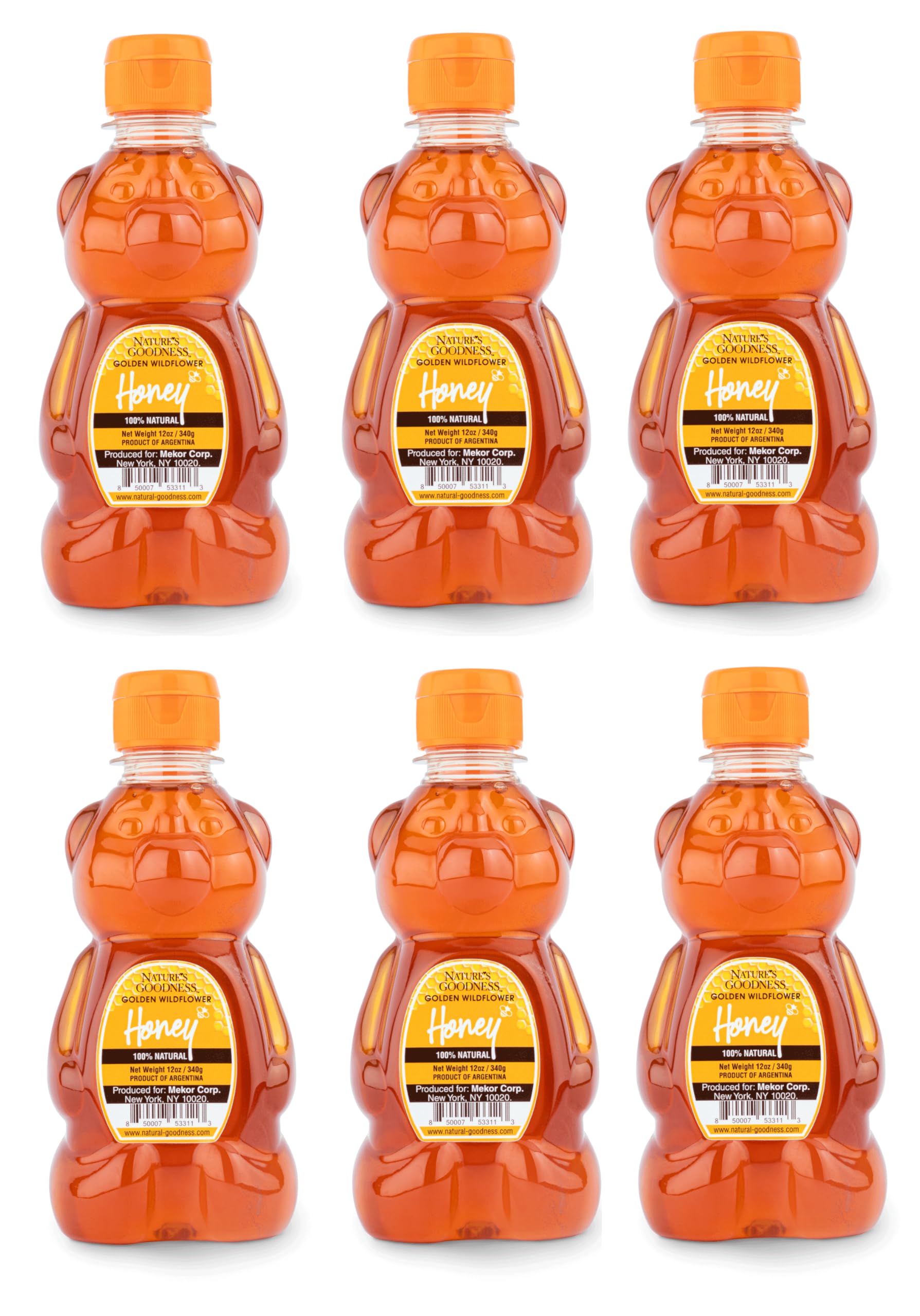 Nature's Goodness Teddy Bear Golden Wildflower Honey, Teddy Bear, 12 Ounce (Pack of 6)