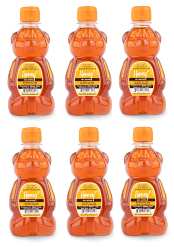 Nature's Goodness Teddy Bear Golden Wildflower Honey, Teddy Bear, 12 Ounce (Pack of 6)