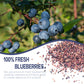 Freeze Dried Blueberries Pieces, 6Oz/170G Frozen Blueberries, Freeze Dried Fruit, No Sugar Added, 100% Natural, Fruit Snacks