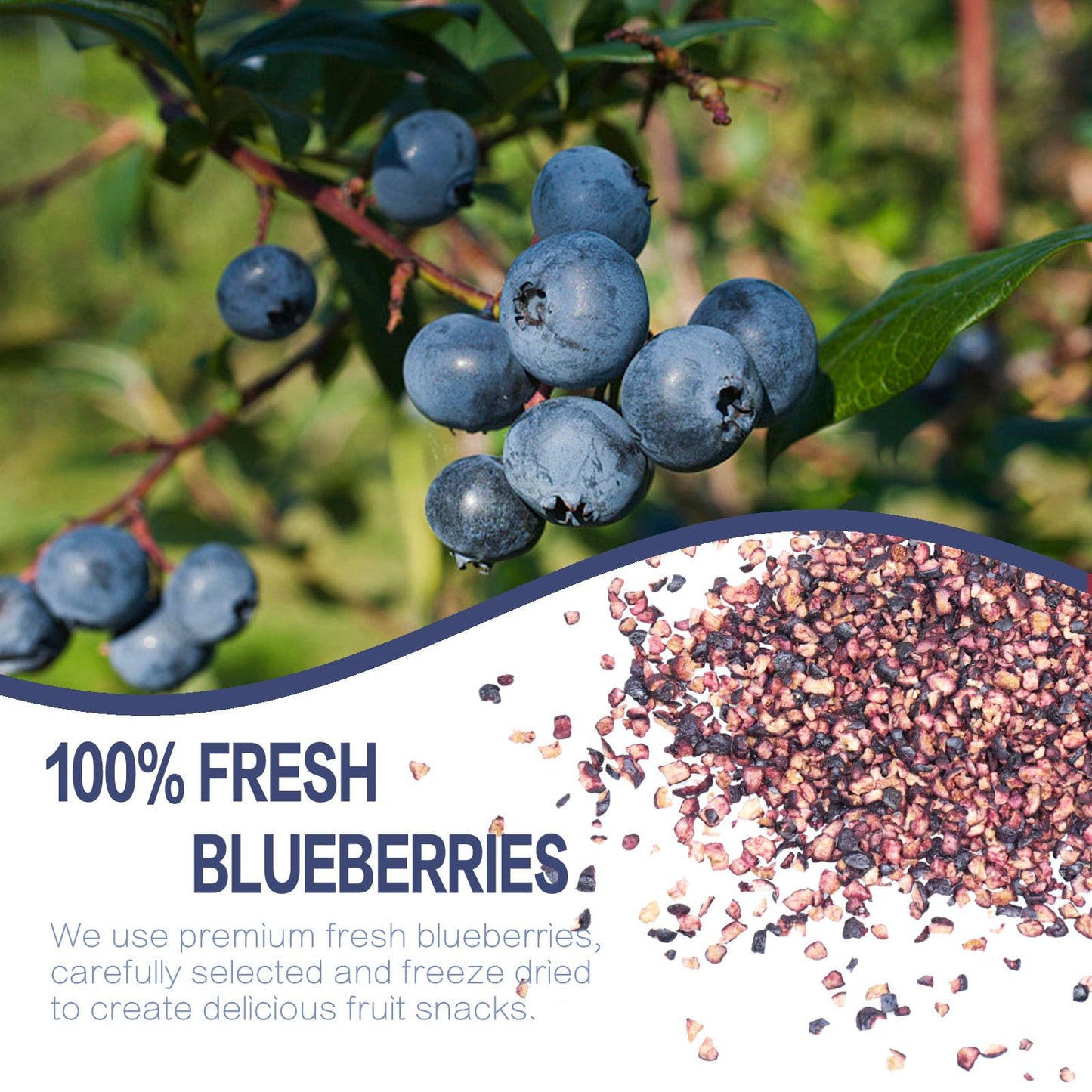 Freeze Dried Blueberries Pieces, 6Oz/170G Frozen Blueberries, Freeze Dried Fruit, No Sugar Added, 100% Natural, Fruit Snacks