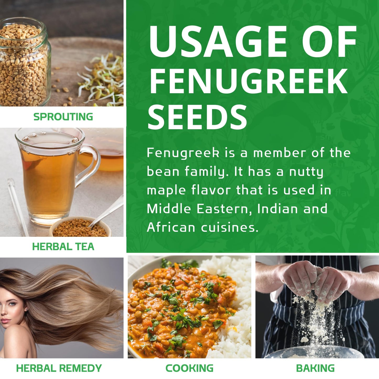 Jiva Organics Organic Fenugreek Seeds Whole - Methi Seed for Cooking & Sprouting - 1 Pound Jar