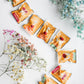 Teabloom Caffeine-Free Blooming Teas Gift Canister - 12 Assorted Flowering Teas