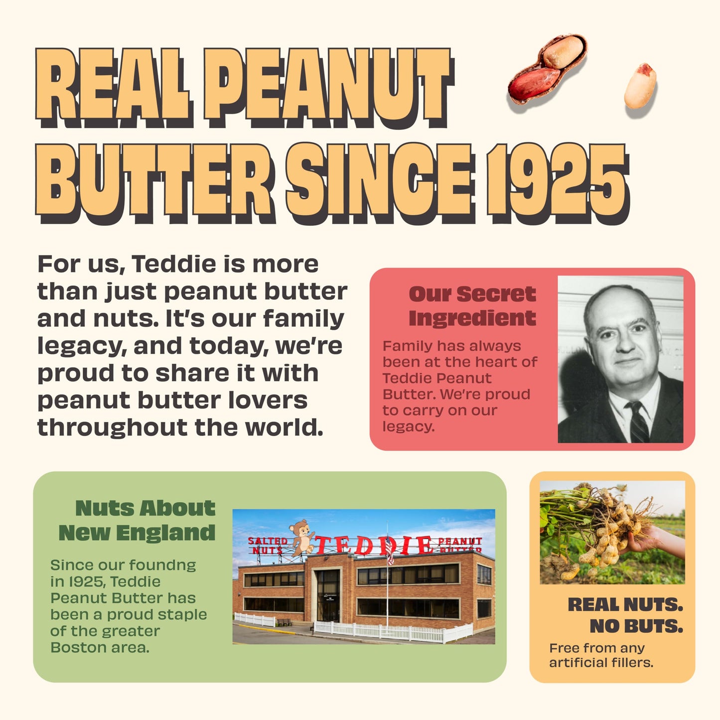 Teddie All Natural Peanut Butter, Smooth, Gluten Free & Vegan, 16 Ounce Glass (Smooth, Pack of 1)