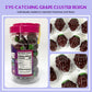 APEXY G  Gummy Candy - Jelly Filled, Fat Free, Nut Free, 11.42oz