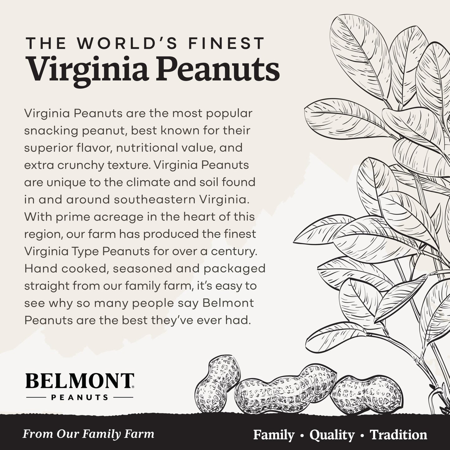 Belmont Peanuts Holiday Gift Bundle With Sea Salt And Butter Toffee Virginia Peanuts, 20 Oz (2 Pack) – Hand Seasoned, No Preservatives, Absolutely Delicious – A Secret Santa Favorite