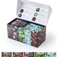 Decaf Herbal Tea Sampler – Ezr Leaf 22Ct Caffeine-Free Pyramid Bags, Assorted Fruit & Floral Blends With Lemon Verbena, Chamomile Mint, Dreamland, Roselle – Variety Tea Gift Set For Tea Lovers