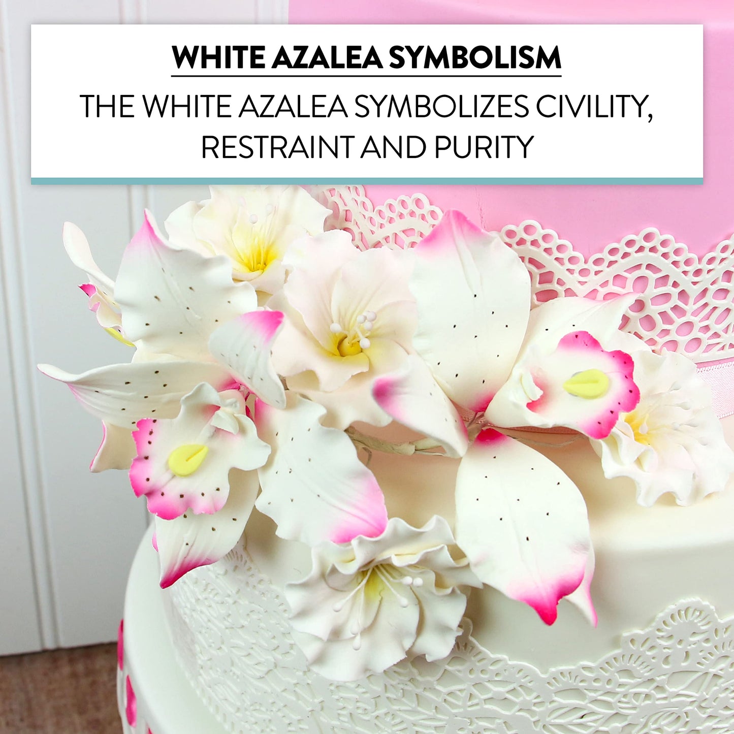 Global Sugar Art Azalea 1.75 Inch Sugar Cake Flowers White With Wire And Stamen, 10 Count By Chef Alan Tetreault