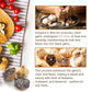 Black Garlic Cloves By Florida Pure Peeled, Ready To Eat, Elevates Salads, Gourmet Dishes, And Spreads, Fermented For Rich Umami