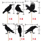 Leetaivie 24Pcs Black Glitter Crow Dessert Cupcake Toppers - Featured Halloween Themed Party Cake Topper (Black)