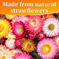 30+ Edible Dried Mixed Flowers - 25g Food Grade Natural Blooms for Cake Decorating  Tea  Cocktails  DIY - Ideal for Cocktail Toppers  Drink Garnish  Bath Soaks - No Additives  Vegan