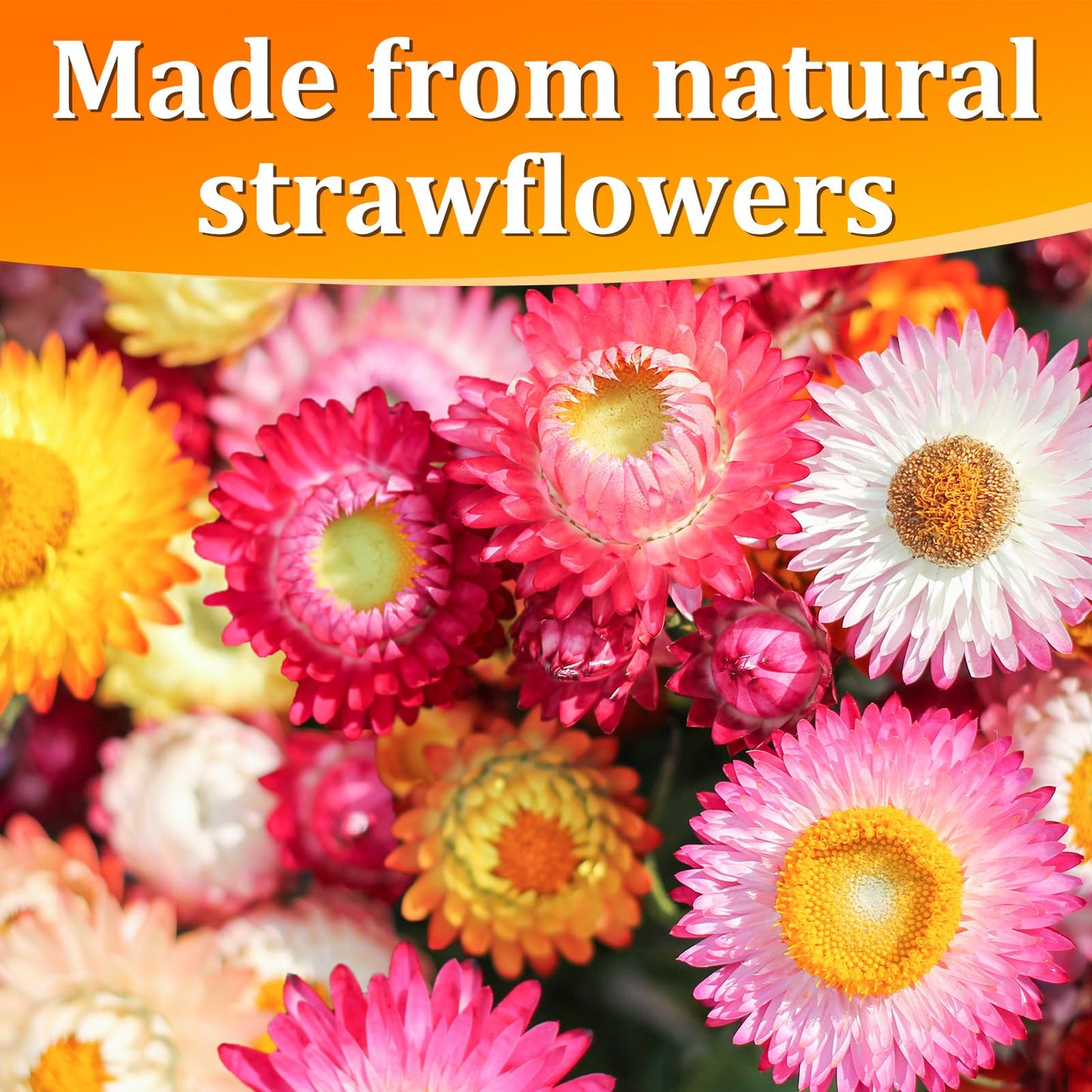 30+ Edible Dried Mixed Flowers - 25g Food Grade Natural Blooms for Cake Decorating  Tea  Cocktails  DIY - Ideal for Cocktail Toppers  Drink Garnish  Bath Soaks - No Additives  Vegan