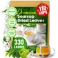 FreshDrinkUS  330-350 enhanced Soursop Dried Leaves Tea  115 Cups  Hojas De Guanabana Whole Leaves  Wildcrafted  Graviola  Soursop  Guanabana Tea  Loose Leaf Herbal Tea  Gluten/Sugar/Caffeine Free