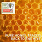 Thrifty Bee Honey Bulk Jug, 48 Ounce (3 LB), 100% Pure Honey