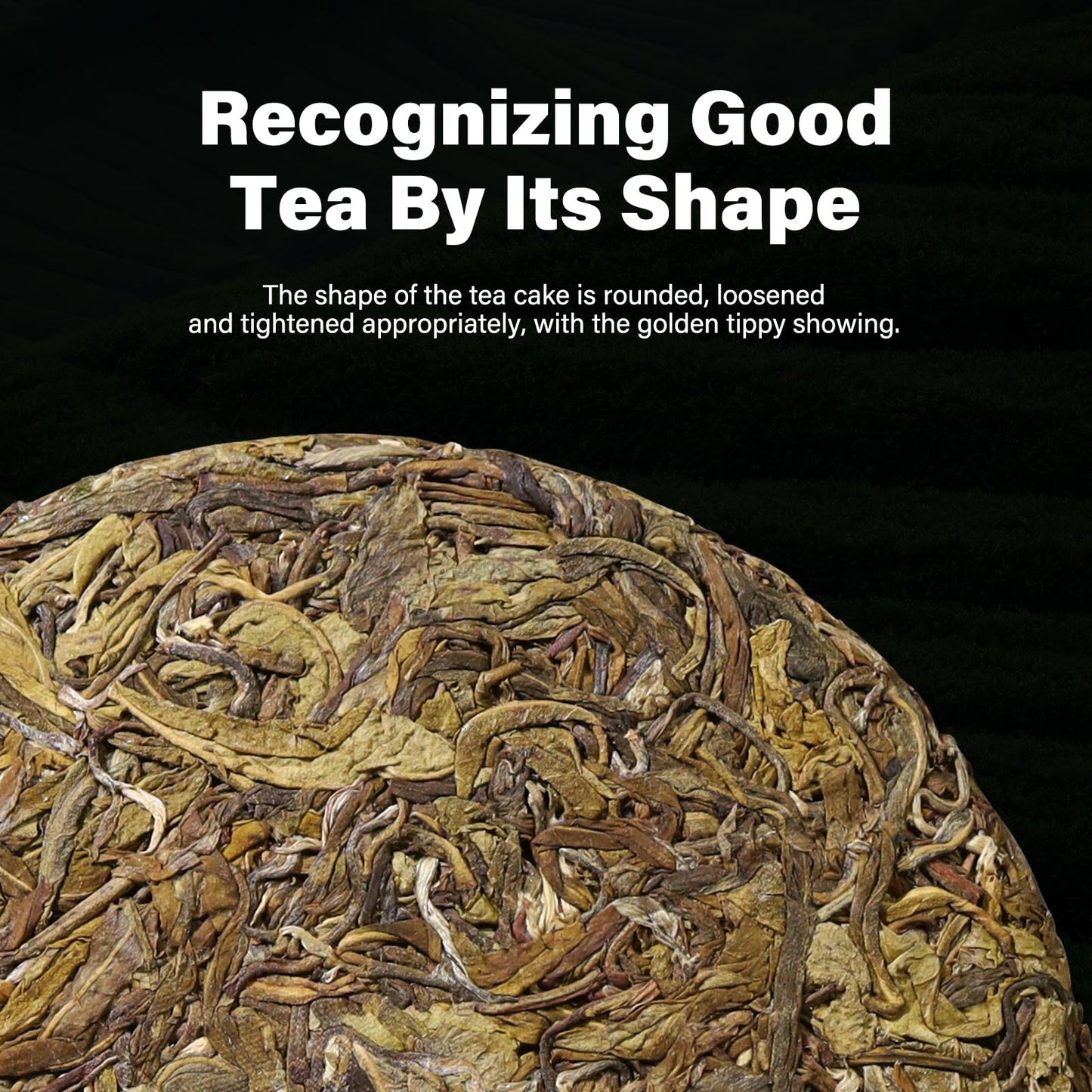 Yuansheng Organic Raw Pu Erh Tea Cake, Usda Certified, Aged & Organic Chinese Yunnan Ancient Tree Pu-Erh Tea, Refreshing, 12.6 O