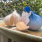 Elephant Garlic 2 Huge Bulbs! Great For Fall Planting! Non Gmo Milder Tasting Garlic