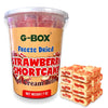 G-BOX Freeze Dried Ice Cream| Crunch Strawberry Shortcake Ice Cream Bites - Perfect for Camping, Outdoor, and Party - Air-tight 