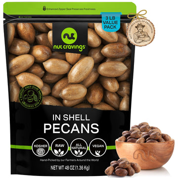 NUT CRAVINGS - Raw Hard Shell Pecans, (48oz - 3 LB) Bulk Nuts Packed Fresh in Resealable Bag - Healthy Protein Food Snack, All N
