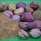 Aselife Energy Kola Nut Powder 4 Oz Stronger Than Coffee Without The Jitters Flowstate Focus