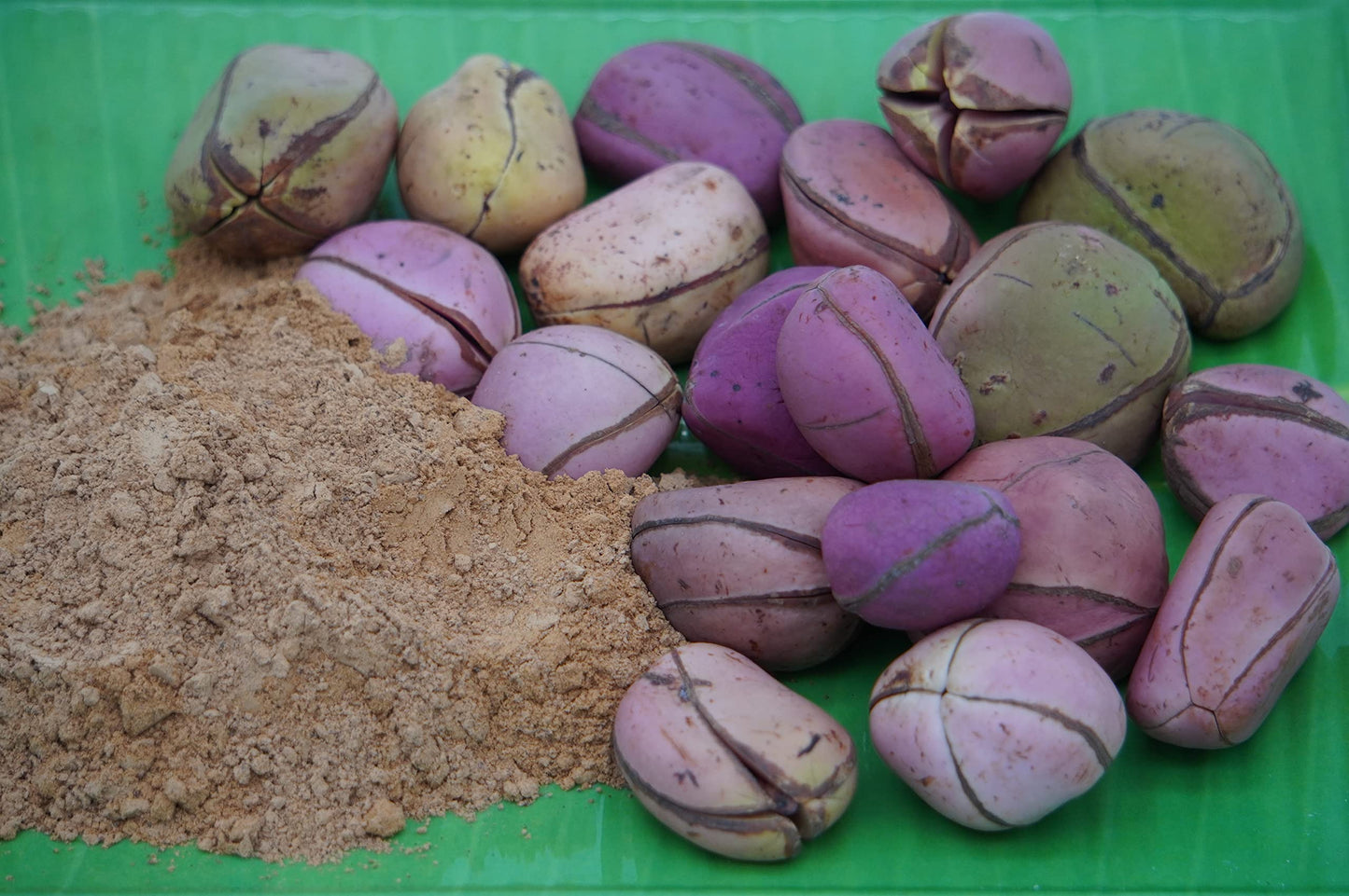 Aselife Energy Kola Nut Powder 4 Oz Stronger Than Coffee Without The Jitters Flowstate Focus