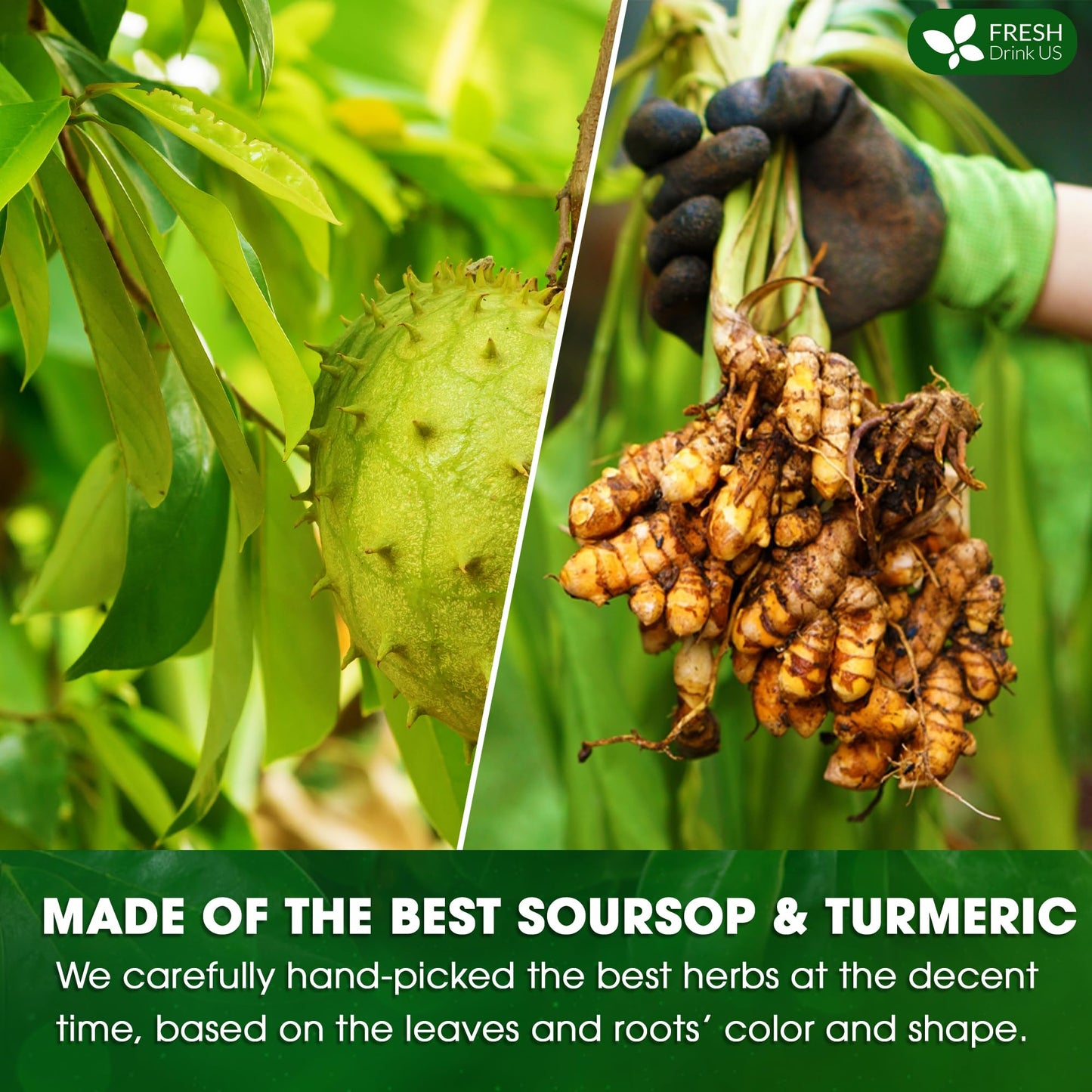 FRESHDRINKUS Premium Soursop Turmeric Tea Bags, 100% Natural, Vegan, 40 Special Bags