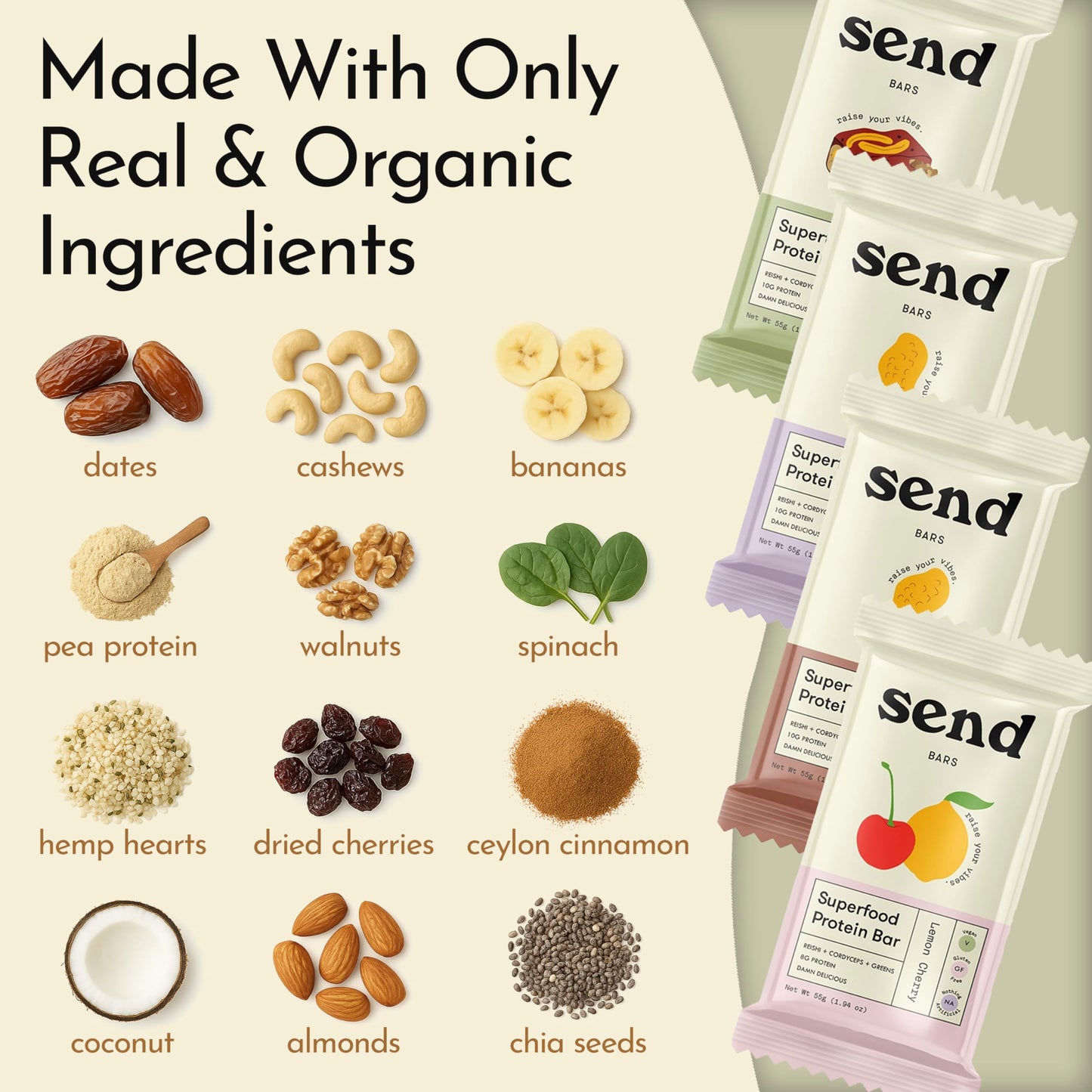 Send Bars Plant-Based Vegan Healthy Protein Bars, With Greens (Variety Pack, 8 Bars) – Only Real Ingredients, Zero Added Sugar, Gluten-Free, Dairy-Free