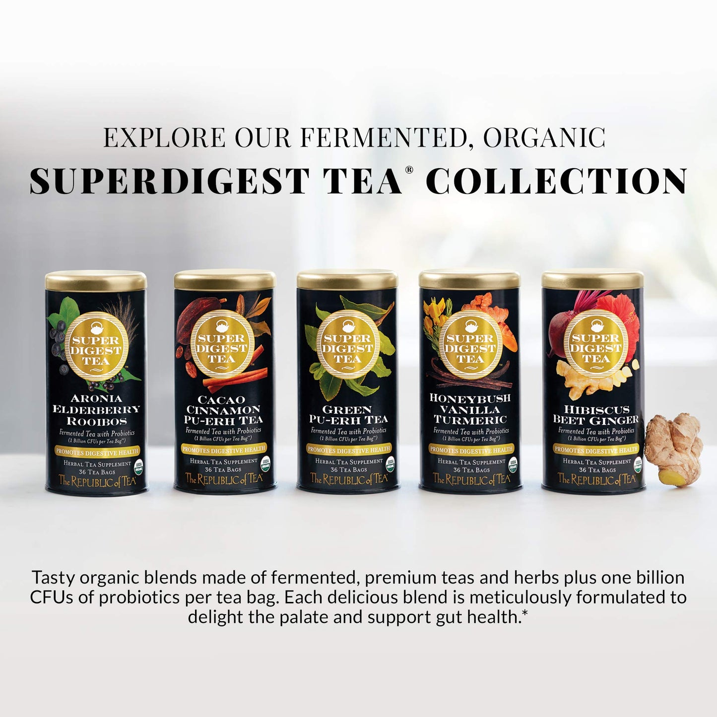 The Republic of Tea Organic Aronia Elderberry Rooibos Tea Bags, Probiotic, 36 Count