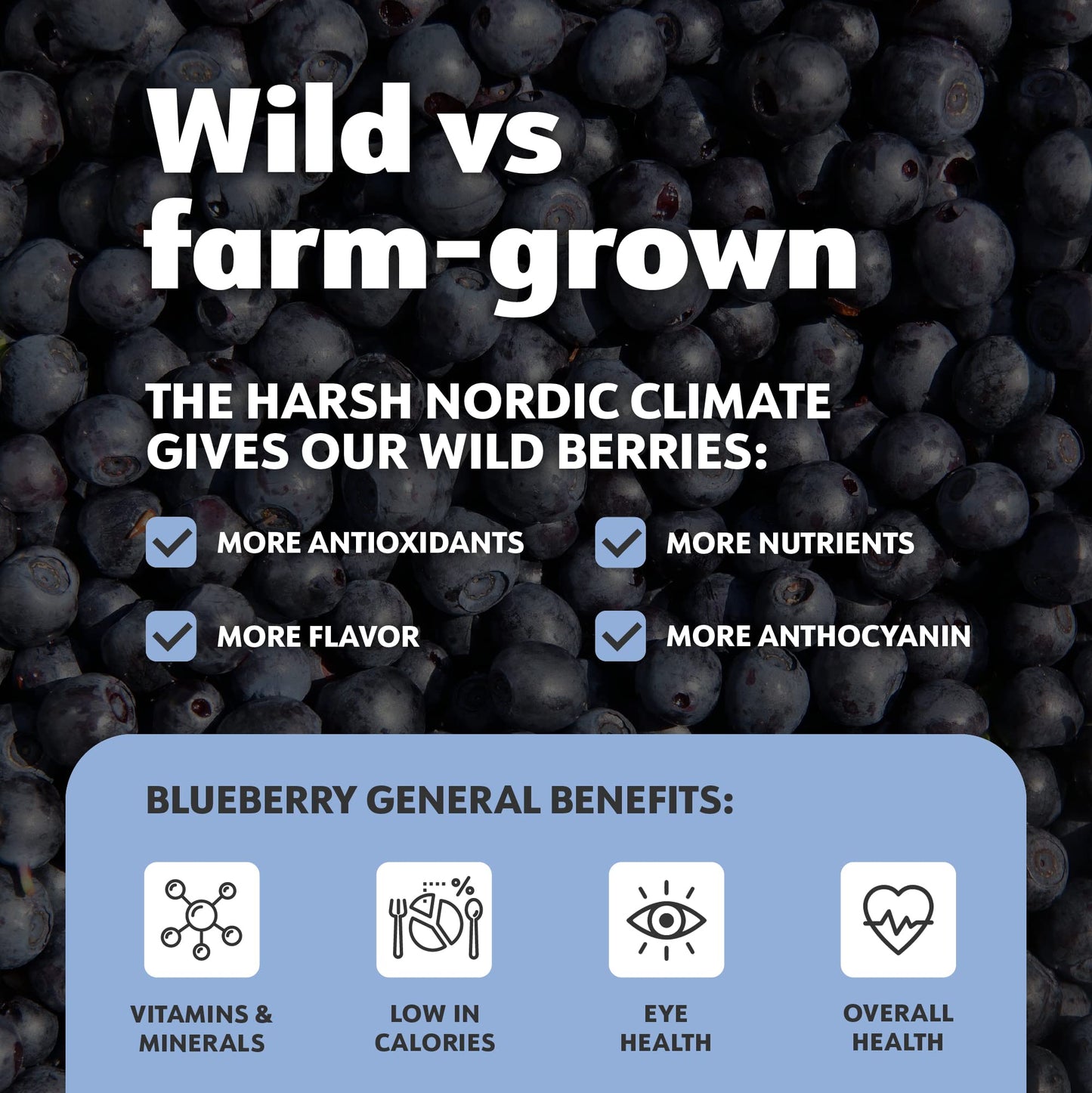 Loov Organic Wild Blueberry Powder - 41-Day Supply, 8.8 Oz, Good For Smoothie & Breakfast, Freeze-Dried, From Northern Europe, N