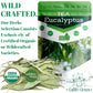 Natural Eucalyptus Herb Leaves, Whole Eucalyptus Leaves, 56G (2.0 Oz)