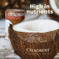 CHAOKOH Coconut Milk - Non-Dairy, No Preservatives, 13.5 Fl Oz Can, Pack of 24
