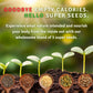 BetterFoods Five Seeds Mix - Pumpkin, Sunflower, Chia, Flax, Sesame - 2 Pound, Non-GMO, Gluten-Free, Sugar-Free Topping
