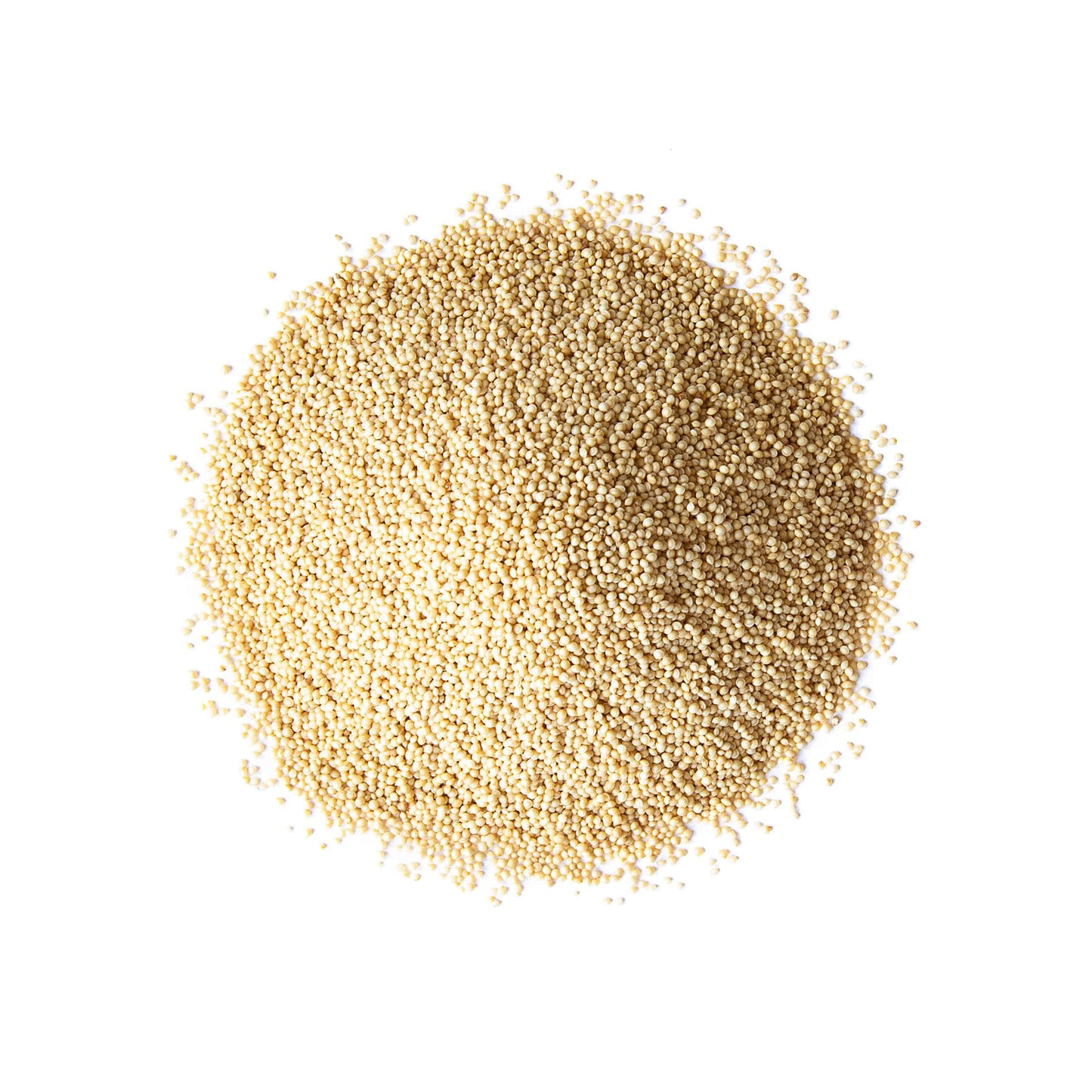 Food to Live Amaranth Grain, 6 Pounds - 100% Whole Seeds, Vegan, Kosher, Bulk. Sweet, Nutty Flavor. Rich in Protein, Calcium. Gr