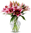Benchmark Bouquets, 8 Stem Stargazer Lilies, Glass Vase Included, Gift Fresh Flowers For Birthday, Anniversary, Get Well, Sympat